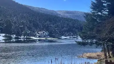 Bolu Gölcük Tabiat Parkı'nda Tatil Yoğunluğu